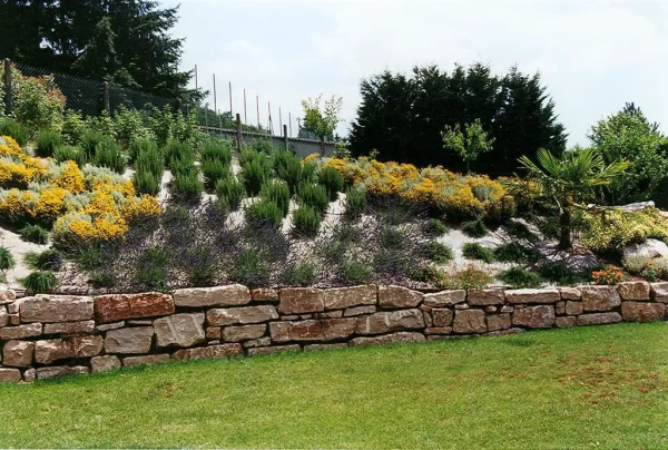 Plantations sur toile hors sol